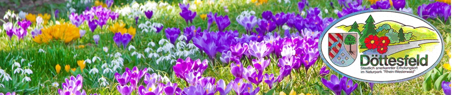 nBanner_77979202
